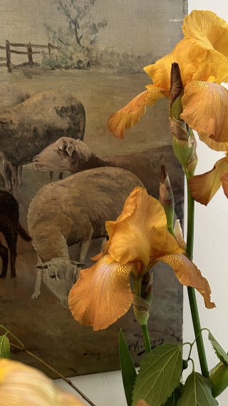 5DBF518C-C966-4998-B023-30A1F2EF7FAF 5DBF518C-C966-4998-B023-30A1F2EF7FAF