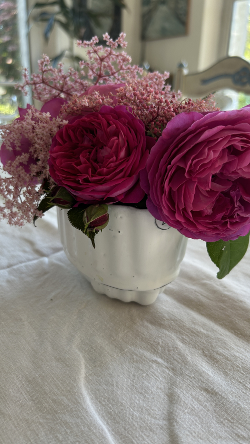 142C48E1-85FA-4E5B-AB51-940CB34C9DEA 142C48E1-85FA-4E5B-AB51-940CB34C9DEA