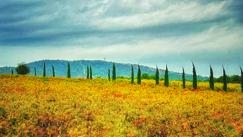 backroads provence