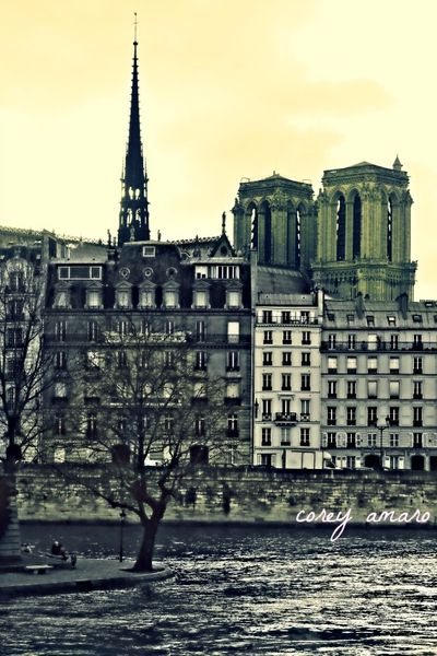 Notre dame Notre dame