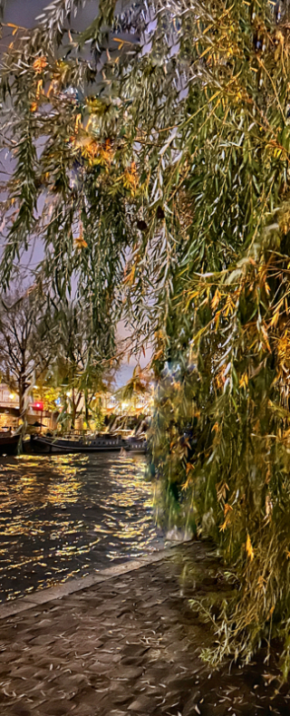 saying goodbye waved the weeping willow branches