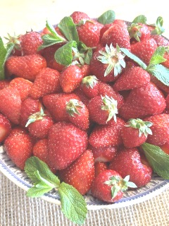 strawberries Corey amaro