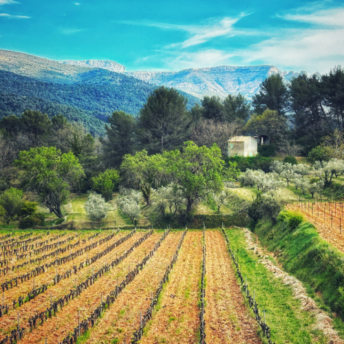 Provence back roads