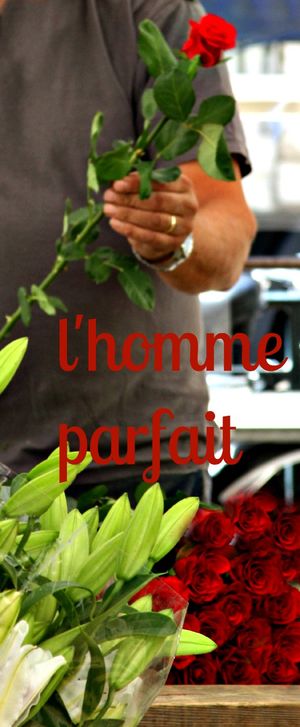 L'homme parfait L'homme parfait
