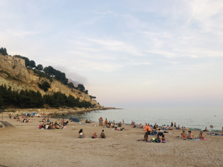 Summer In Provence