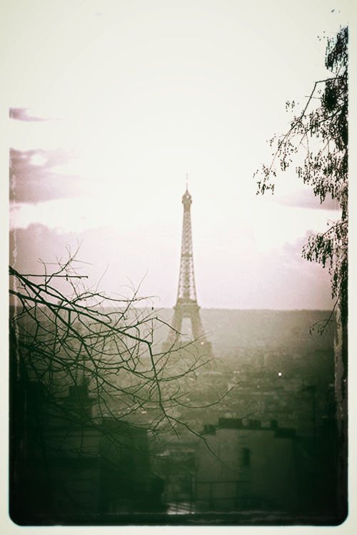 eiffel tower paris, corey amaro