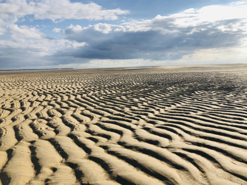 beach low tide