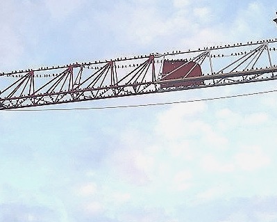 birds singing on a crane