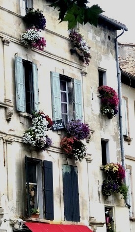 Flowers in French Windows, Corey Amaro, French la Vie