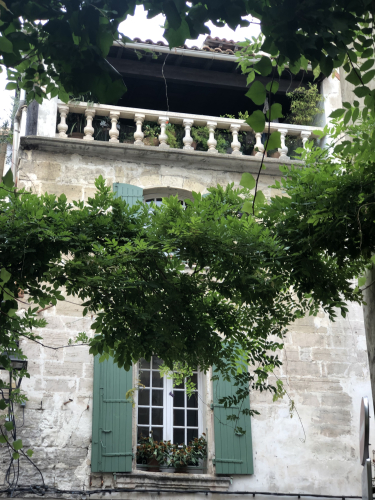 Flowers in French Windows, Corey Amaro, French la Vie