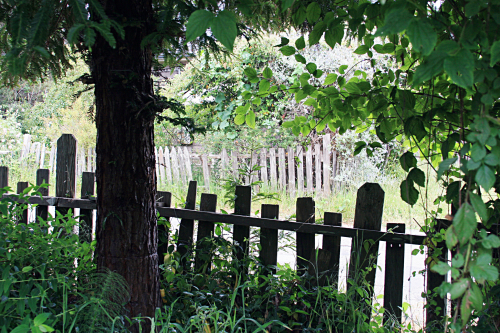 Secret garden Secret garden