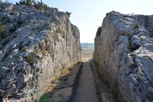 Gallo Romain aqueduct Frank Levin