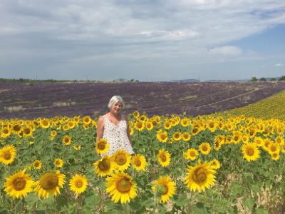 Laurie-annya sunflowers