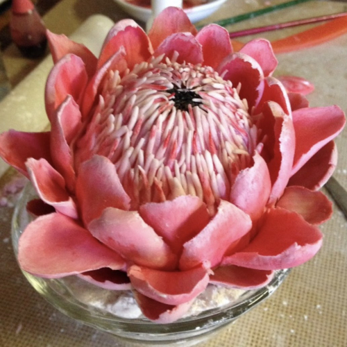 penni Loves penni Loves