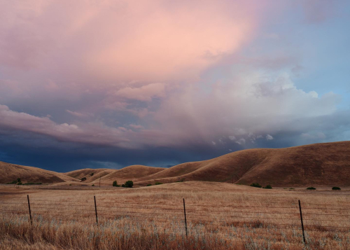 Sacha Rolland-Benis Photo sale #13 Pink Clouds