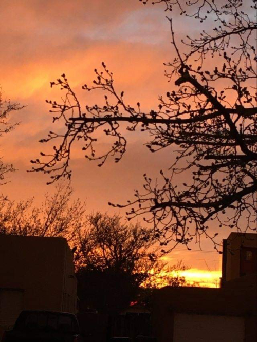 C539EB6C-B075-4F67-AD00-5F4F02B3DE18 C539EB6C-B075-4F67-AD00-5F4F02B3DE18