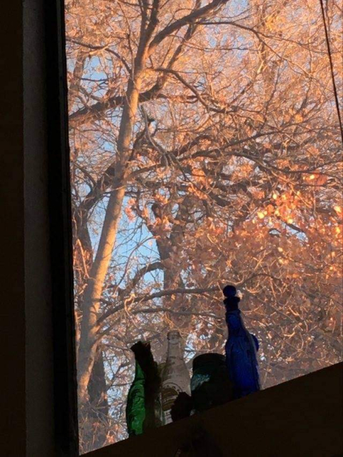 070244D8-FE5B-40CF-A8C0-935453CC6A19 070244D8-FE5B-40CF-A8C0-935453CC6A19