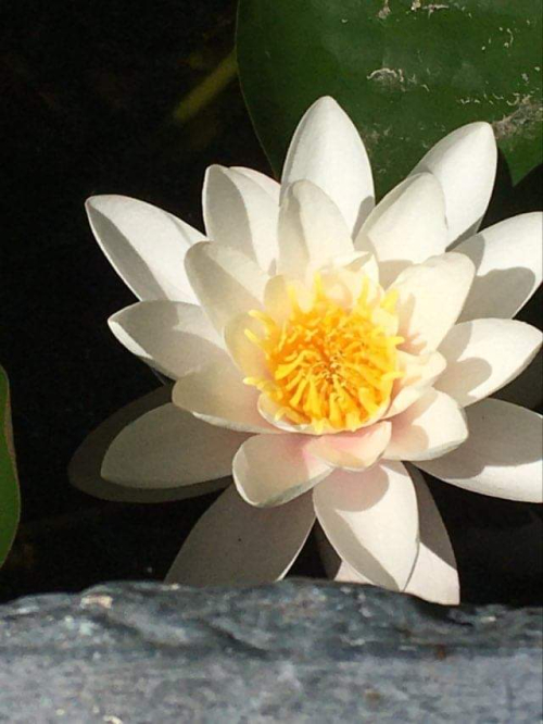 F16BDDA7-CD27-47E6-AF17-697C31AD7A19 F16BDDA7-CD27-47E6-AF17-697C31AD7A19