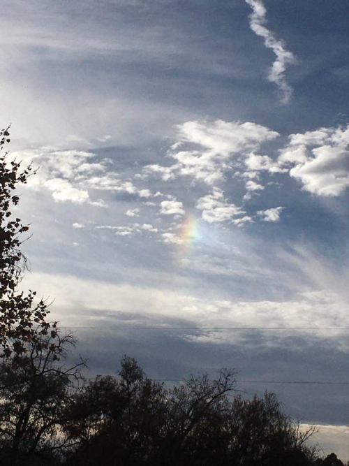 Leau rainbow Leau rainbow