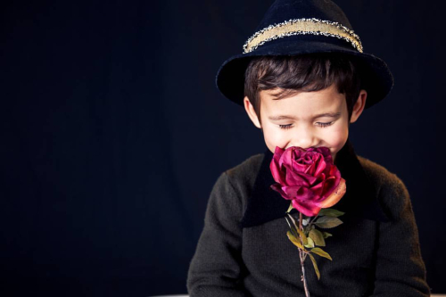 Jeanne's grandson rose Jeanne's grandson rose