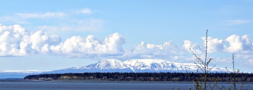 Anchorage Alaska, Susan May