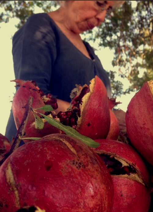 her famous pomegranate tree