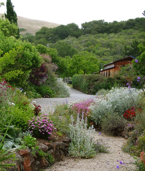 Rock garden in bloom 2