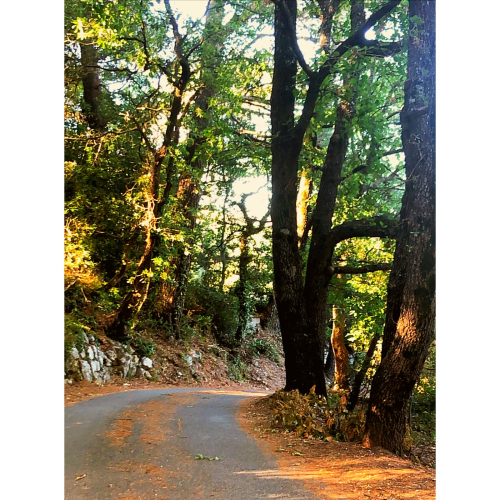 50A51A3E-5879-4AE4-8341-79B43C8E09B4 50A51A3E-5879-4AE4-8341-79B43C8E09B4