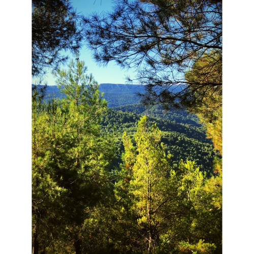 6ABDC568-CA05-4024-9B94-4F20E8440B9D 6ABDC568-CA05-4024-9B94-4F20E8440B9D