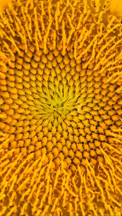 AFD3E0C0-FE91-47FB-A7B2-52F4B59AB91F AFD3E0C0-FE91-47FB-A7B2-52F4B59AB91F