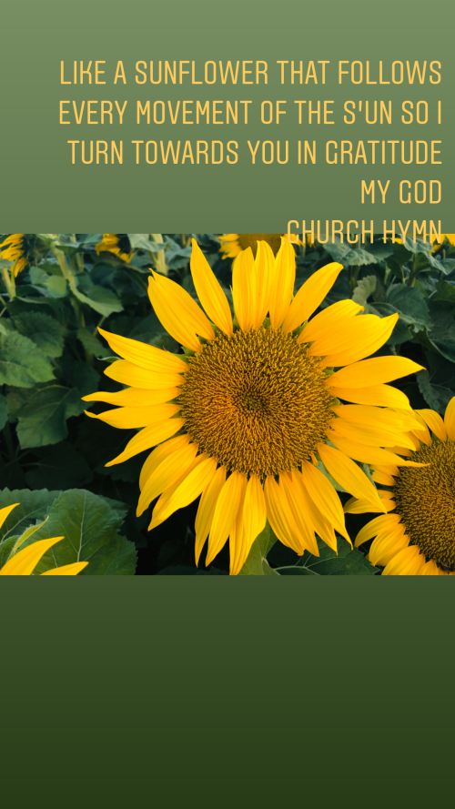 5AB7DCED-4C62-4A18-8F0C-083604F39CF7 5AB7DCED-4C62-4A18-8F0C-083604F39CF7