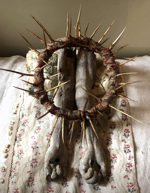 crown of thorns