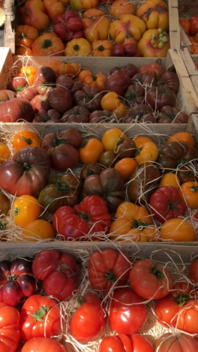 French Market in Provence, Corey Amaro, French la Vie