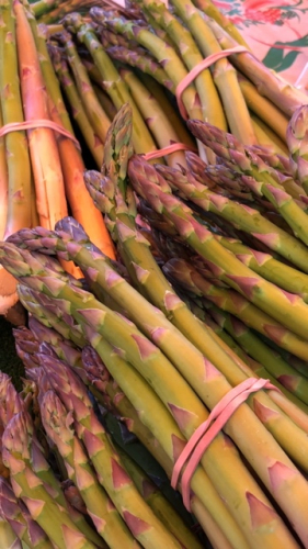 French Market in Provence, Corey Amaro, French la Vie