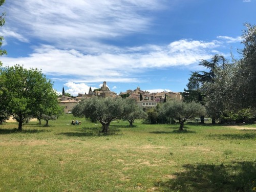 Exploring Provence with the French la Vie