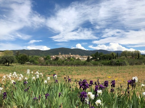 Exploring Provence with the French la Vie