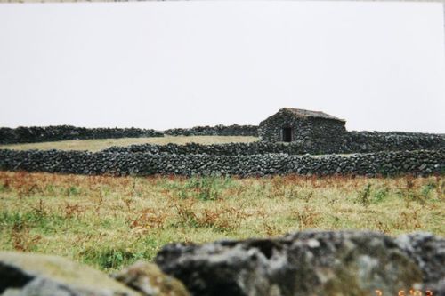 Corey amaro azores Corey amaro azores