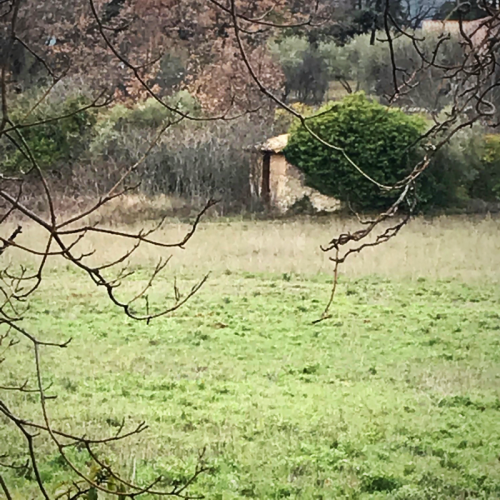 French Countryside, daily walk, corey amaro French Countryside, daily walk, corey amaro