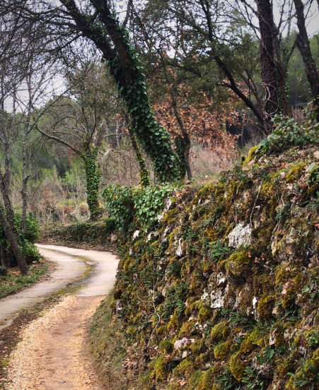 French Countryside, daily walk, corey amaro French Countryside, daily walk, corey amaro