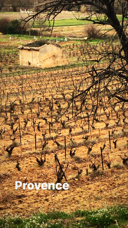 A Winter Walkabout A Winter Walkabout