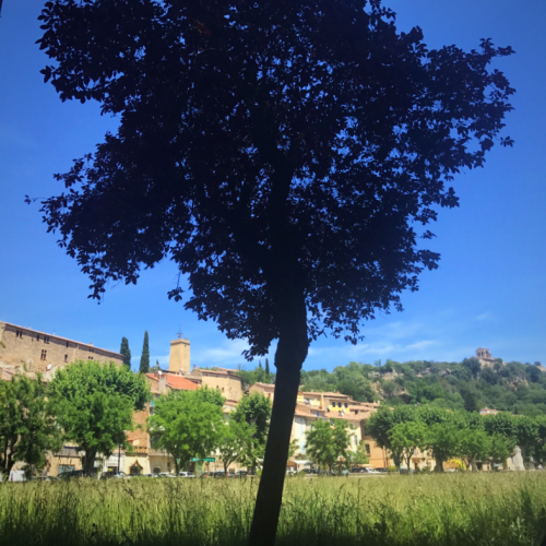 French flea market, brocante Corey Amaro French flea market, brocante Corey Amaro
