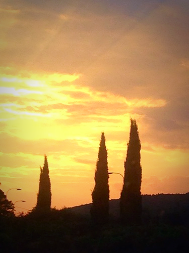 image from https://s3.amazonaws.com/feather-client-files-aviary-prod-us-east-1/2016-09-10/8173db8185e54b4fa9bc000f0a0dc27d.png image from https://s3.amazonaws.com/feather-client-files-aviary-prod-us-east-1/2016-09-10/8173db8185e54b4fa9bc000f0a0dc27d.png