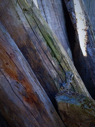 image from https://s3.amazonaws.com/feather-client-files-aviary-prod-us-east-1/2016-04-08/62948e4a46a24f85b57a752d616fd1bf.png image from https://s3.amazonaws.com/feather-client-files-aviary-prod-us-east-1/2016-04-08/62948e4a46a24f85b57a752d616fd1bf.png