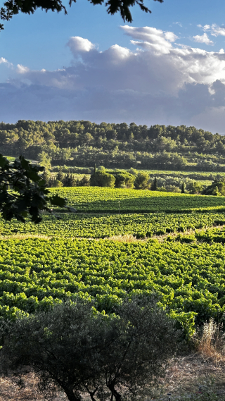 A French Summer’s Eve