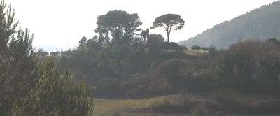 A Morning in Provence