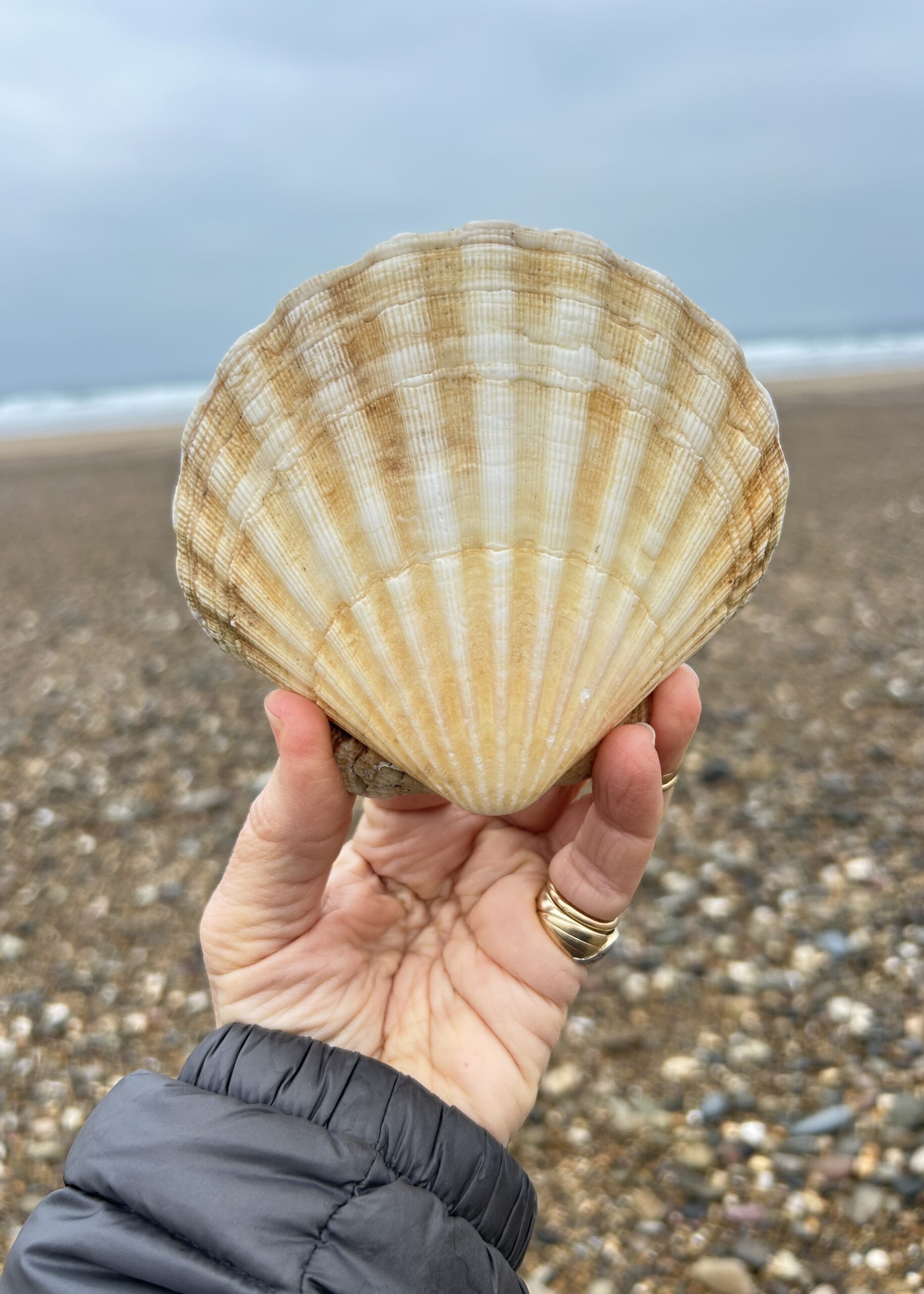 Walking the Sand Dunes in Normandy